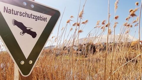 Schild "Naturschutzgebiet" zwischen Schilf an einem Bach