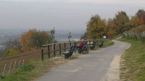 Person mit Fahrrad sitzt auf einer Holzbank an einem Weinbergshang