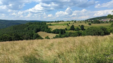 Hügelige Waldlandschaft mit Feldern und Wolken an einem blauen Himmel