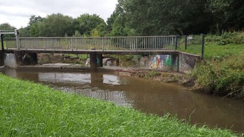 Eberstadt - Modau - Uferrandstreifen Wiesenlandschaft, Blick auf Brücke über Bach