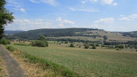 Hügelige Landschaft mit Wiesen und Bäumen, im Hintergrund eine große Brücke
