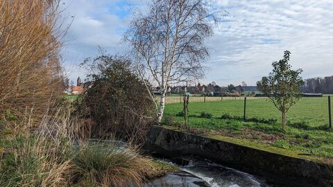 Altheim - Richer Bach Landschaft mit Bach, Bäumen und Sträuchern