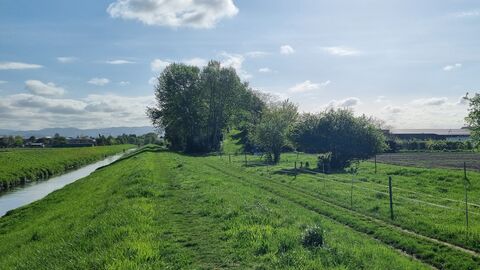 Blick auf Deich an der Weschnitz