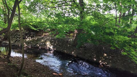 Kleiner Bach zwischen Bäumen