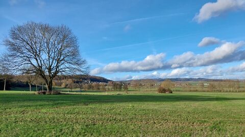 Korbach – Lengefeld Renaturierung Marbeck Blick über ein Feld, links ein Baum