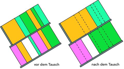 Freiwilliger Landtausch: Kartenausschnitt mit verbesserten Grundstückzuschnitten