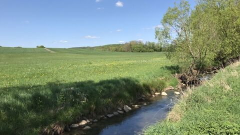 Bachlauf am Feld mit Büschen