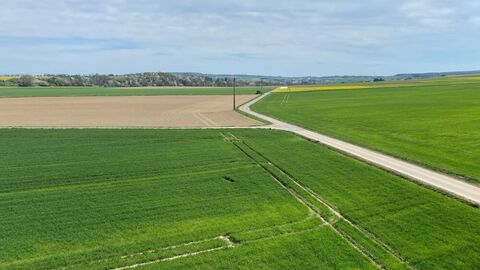 Butzbach-Fauerbach Weg zwischen Feldern