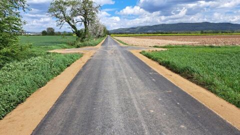 asphaltierter Weg zwischen zwei Feldern