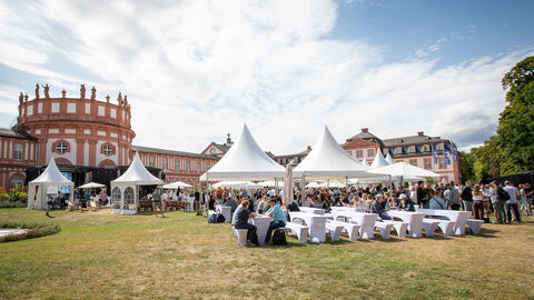 Panorama Schloss Biebrich