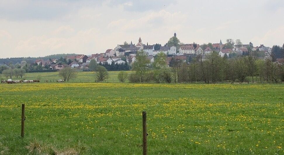 HerbsteinHerbstein Bodenmanagement Geoinformation