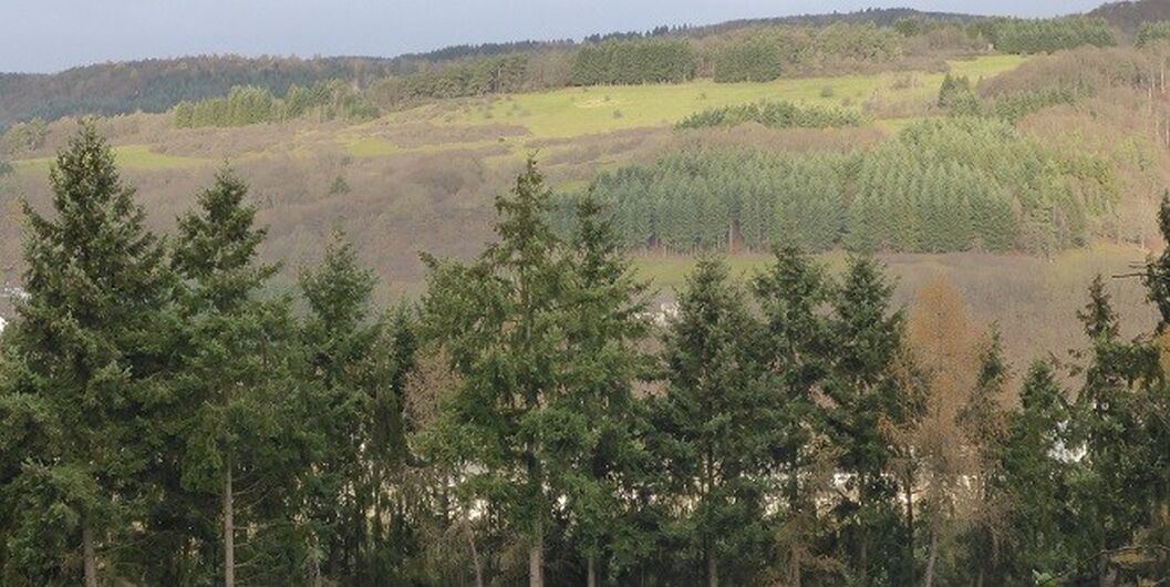 MittenaarBicken Bodenmanagement Geoinformation